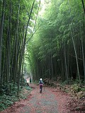 bamboohike01_f5